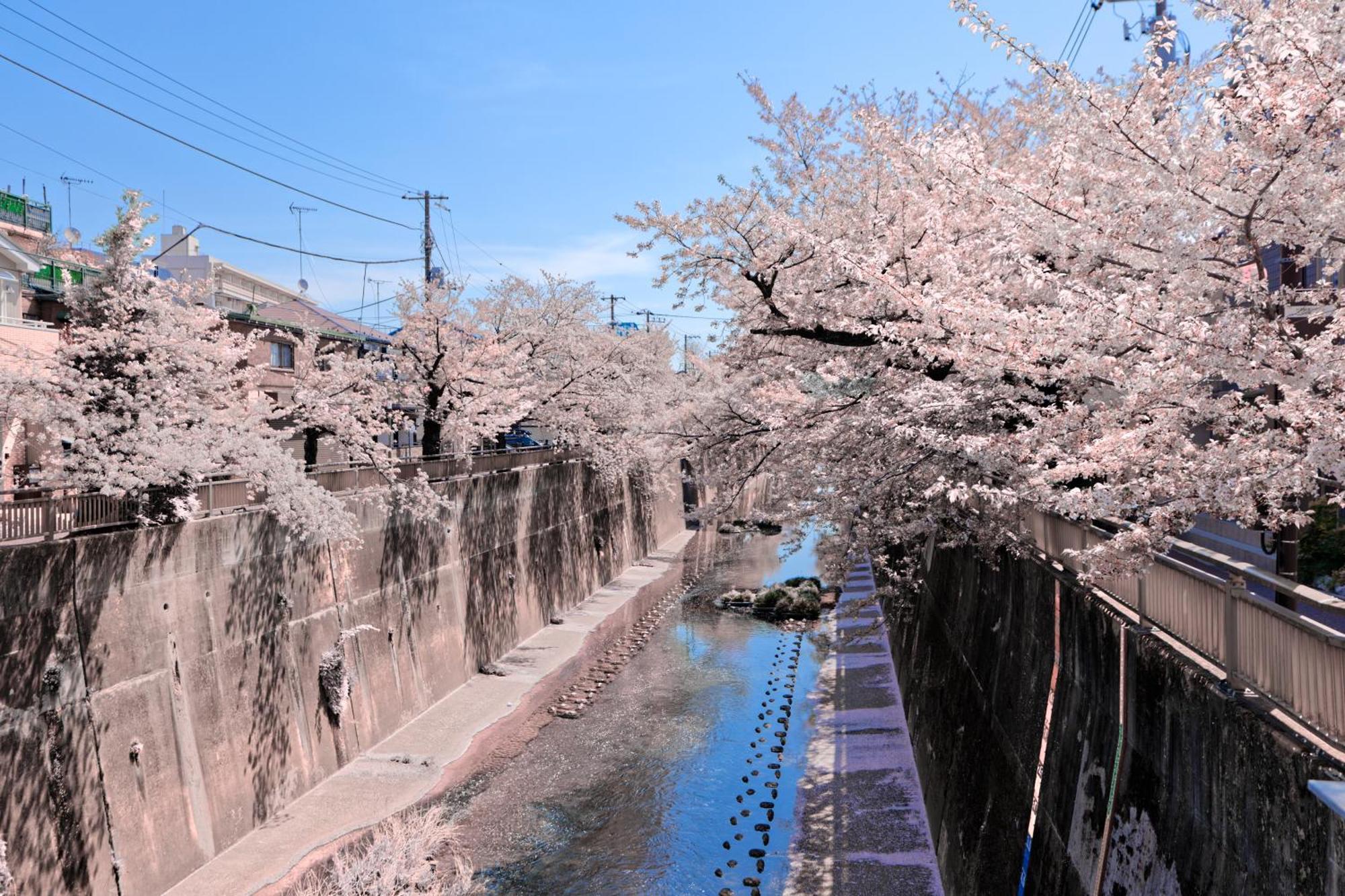 Calm Riverside Inn Close To Ikebukuro Tokió Kültér fotó